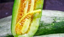 吃瓜05年的网红,揭秘娱乐圈那些不为人知的幕后故事